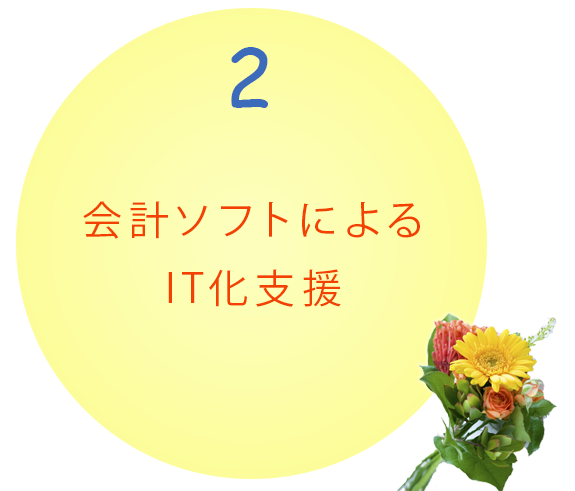 会計ソフトによる IT化支援